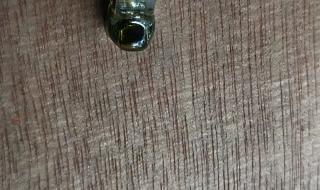 钻石抛光机