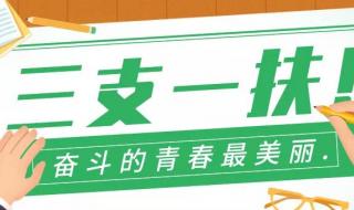 山东三支一扶报名